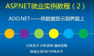C# .NET 開發(fā)精品系列課程 從零基礎到高端的完整技能體系構建